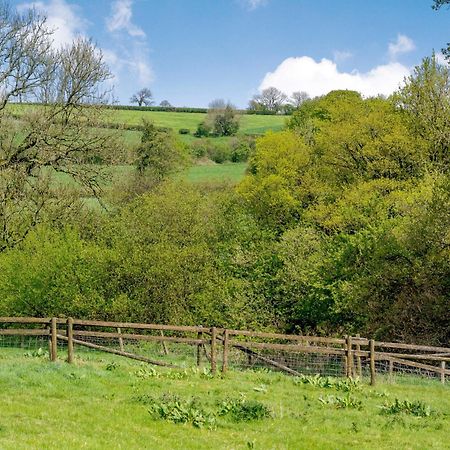 Villa Marigold Shepton Mallet Esterno foto