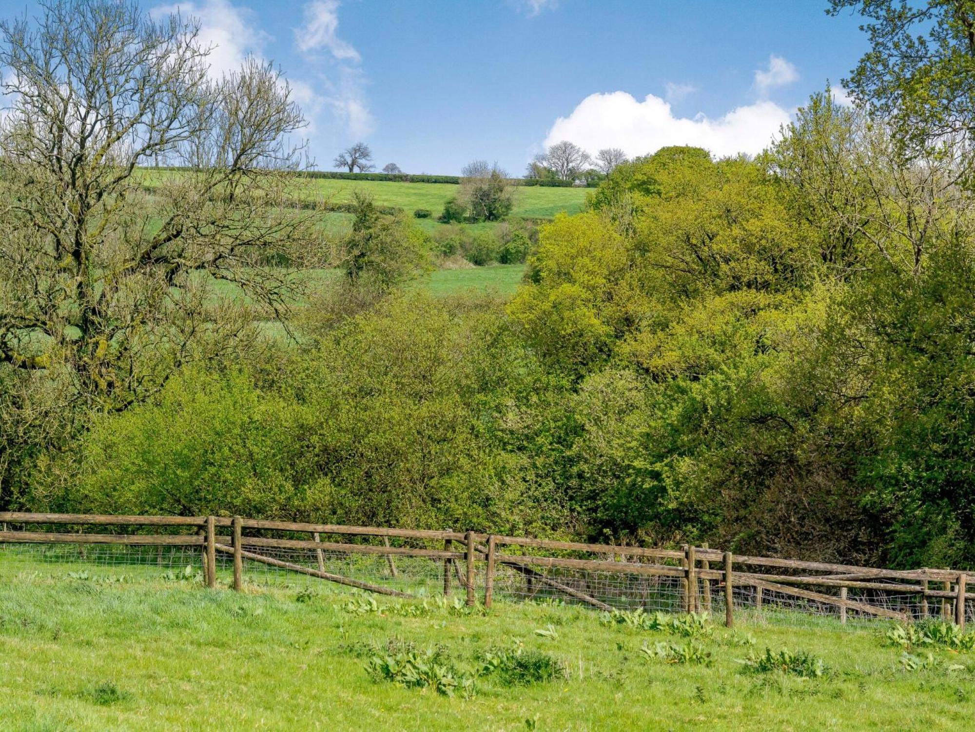 Villa Marigold Shepton Mallet Esterno foto