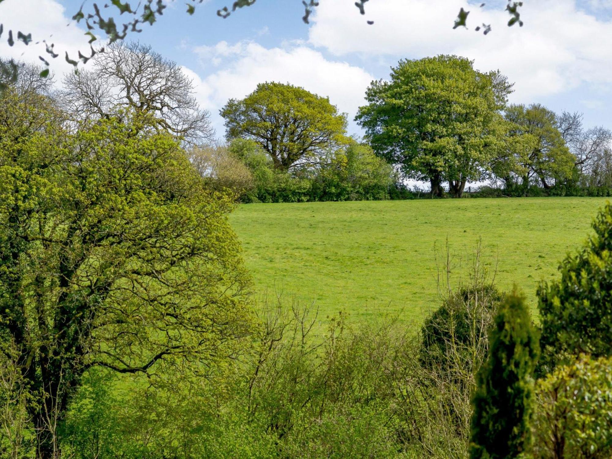 Villa Marigold Shepton Mallet Esterno foto